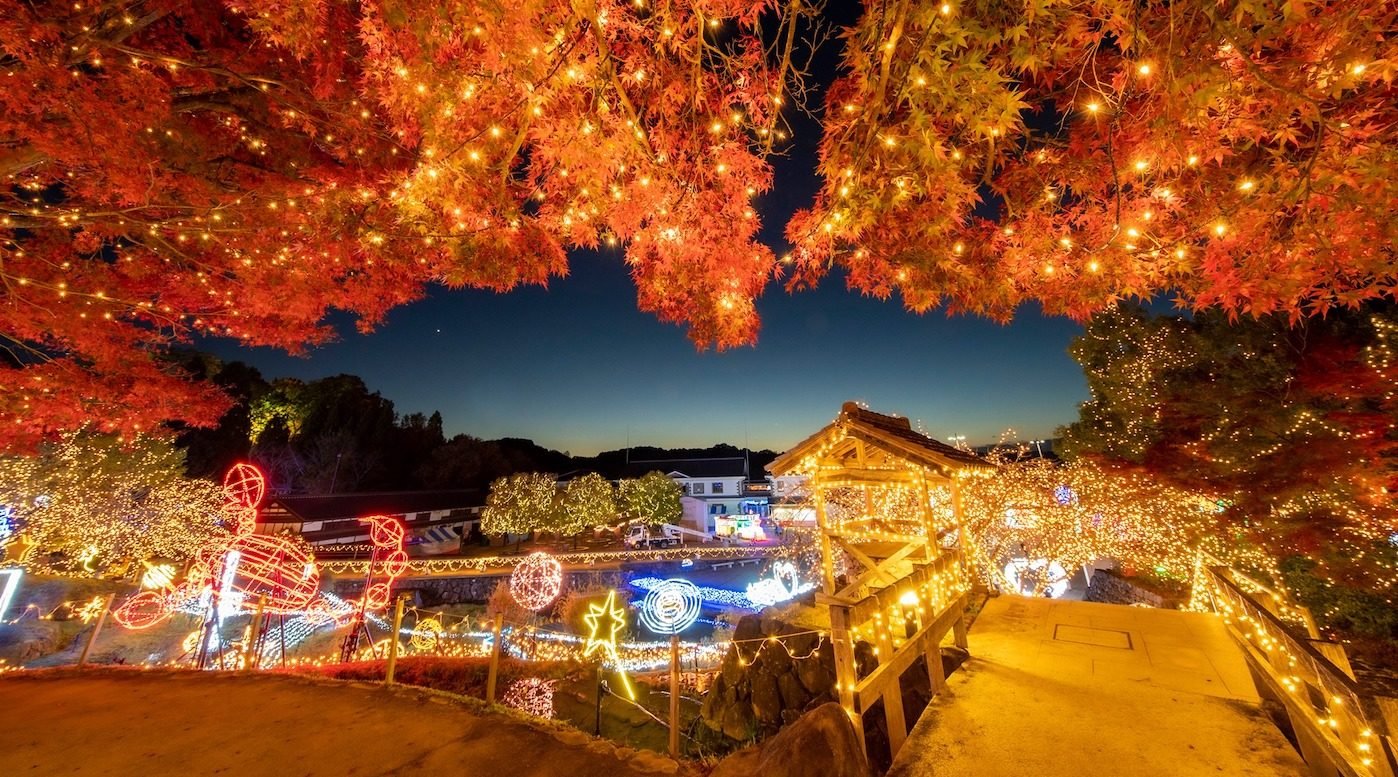 🌳 국영 비호쿠 언덕 공원(고쿠에이 비호쿠 규료코엔) 이미지 9